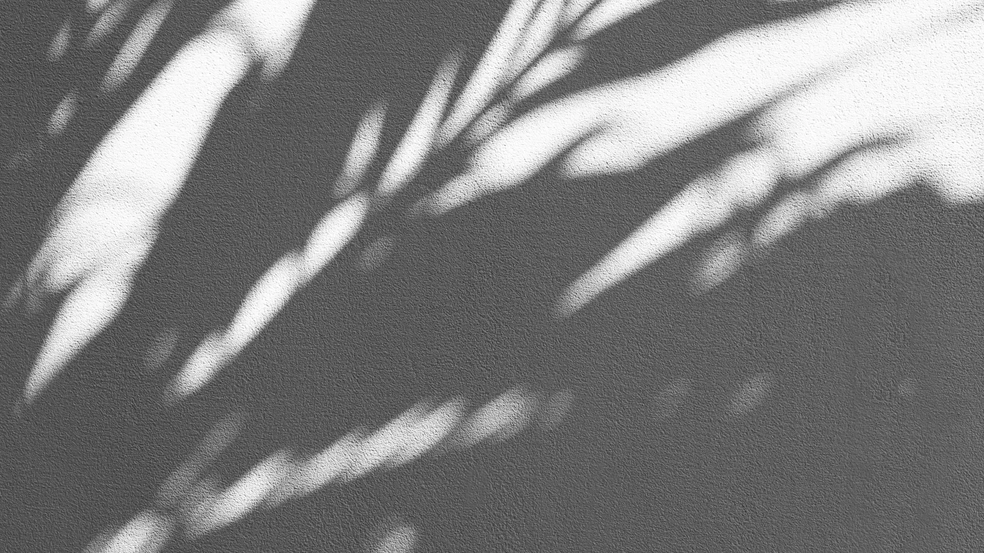 Rezensionen Hintergrund